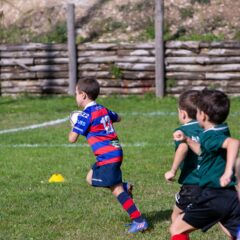 Rugby Gubbio: la Serie B sfiora l’impresa a Sesto Fiorentino, finisce 29-24 per i Cavalieri, primo punto in classifica. Successo per il Concentramento Minirugby a Gubbio